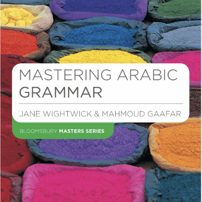 Mastering Arabic Grammar (Macmillan Master Series (Languages))
